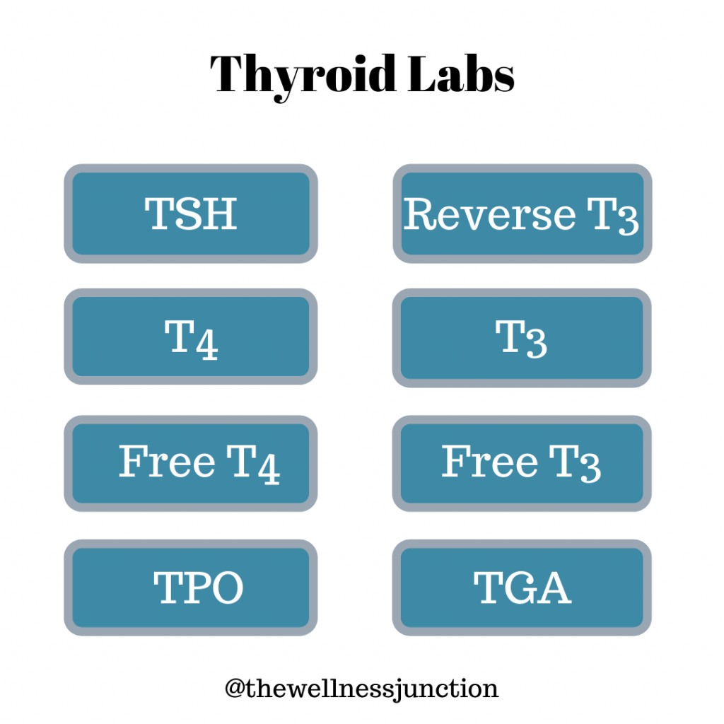 Thyroid Lab Markers