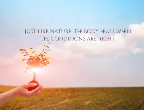 Creating Optimal Conditions For Healing: Practical Steps To Support Your Nervous System